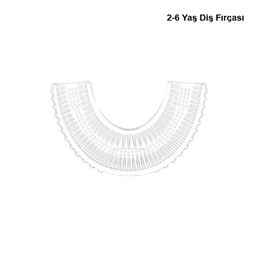 Fırça Başlıkları